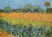 Vincent Van Gogh View of Arles With Iris USA oil painting artist